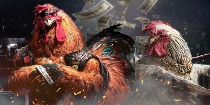 Cập nhật nhiều kèo cược tuyệt vời